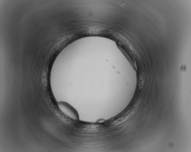 X0000099540497200806061457