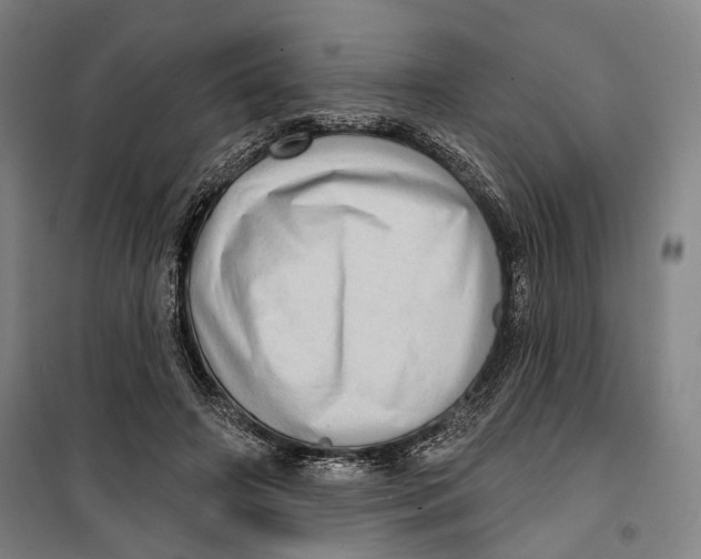 X0000099540498200806061457