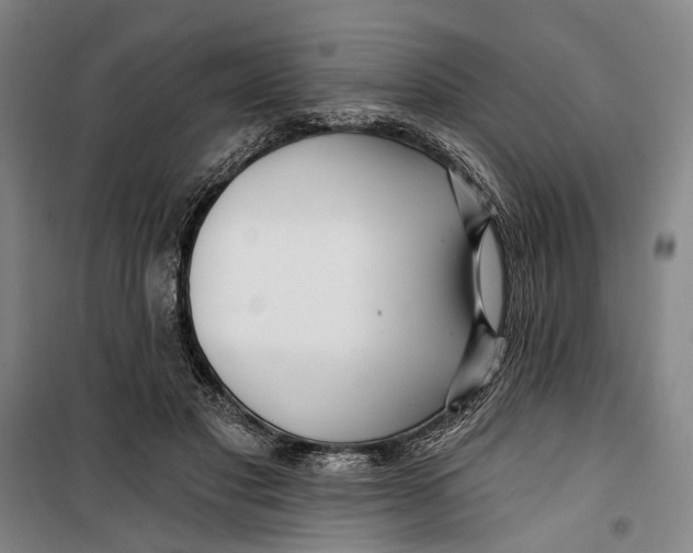 X0000099540501200806061457