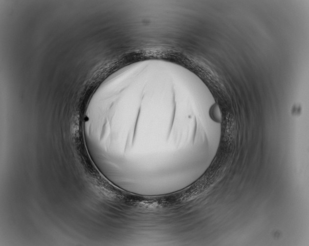 X0000099540502200806061457