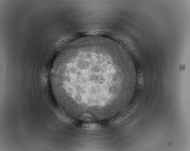 X0000099540503200806061457