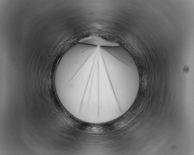 X0000099540506200806061457