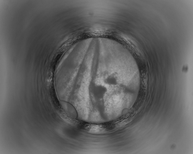 X0000099540507200806061457