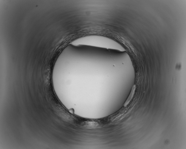 X0000099540509200806061457