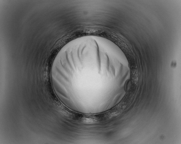 X0000099540510200806061457