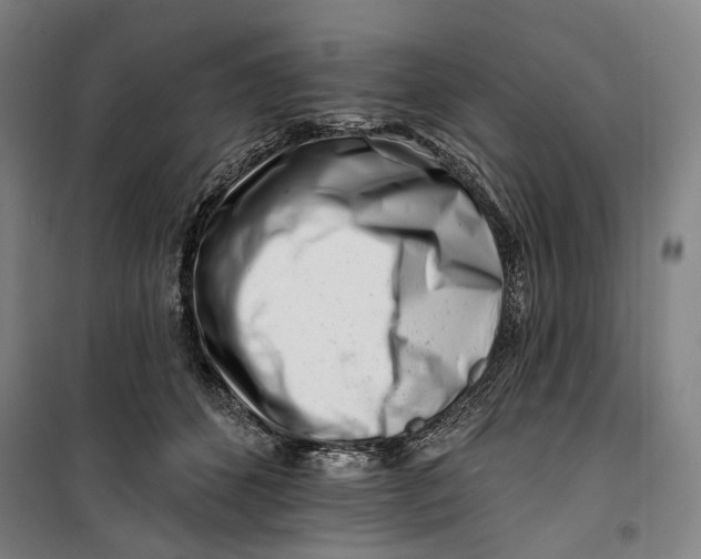 X0000099540512200806061457