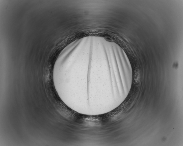 X0000099540515200806061457