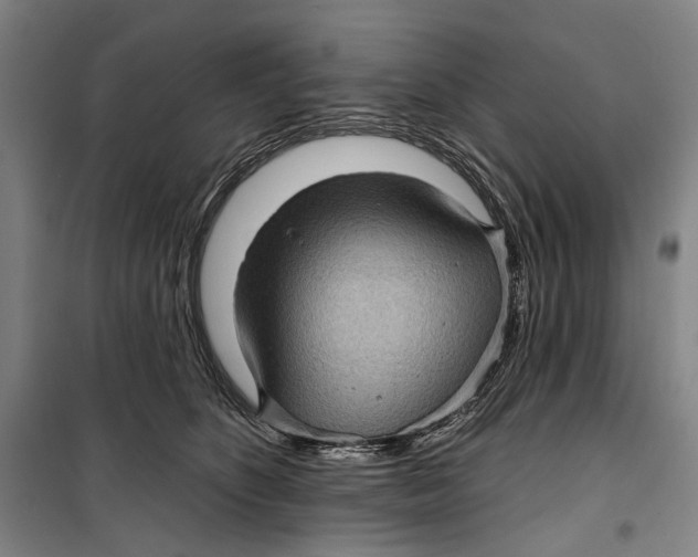 X0000099540516200806061457