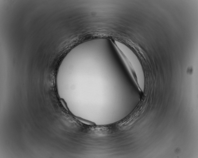 X0000099540517200806061457