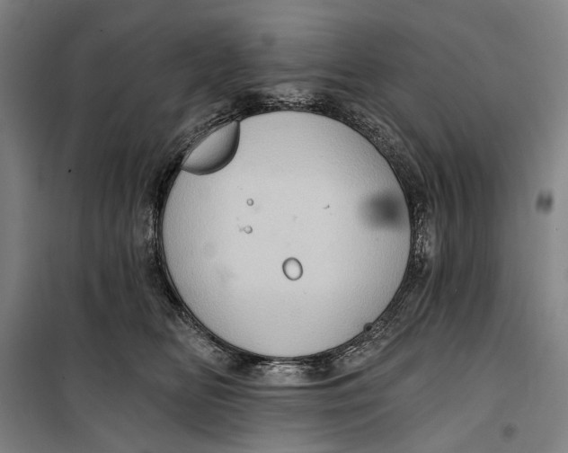 X0000099540518200806061457