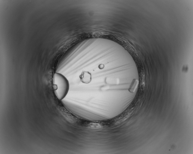 X0000099540519200806061457