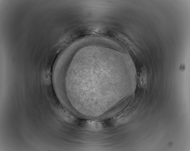 X0000099540520200806061457