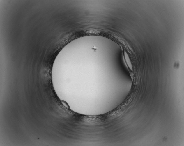 X0000099540521200806061457