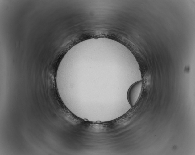 X0000099540522200806061457