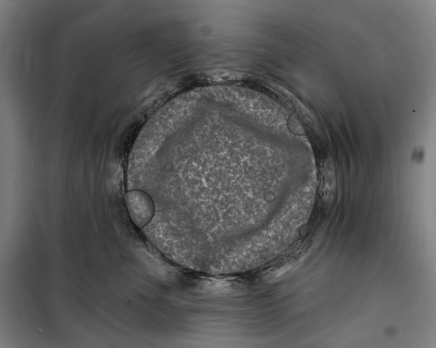 X0000099540523200806061457