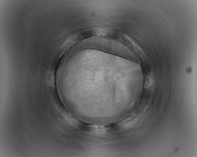 X0000099540524200806061457