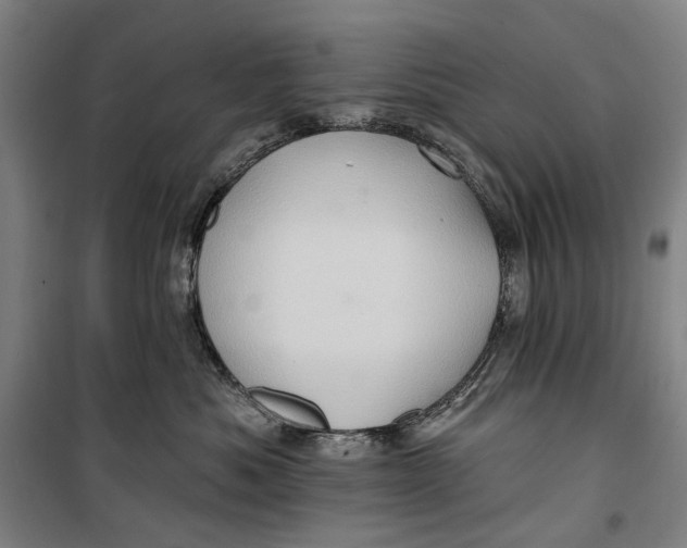 X0000099540525200806061457