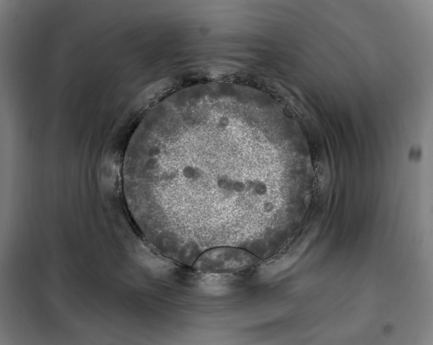 X0000099540527200806061457