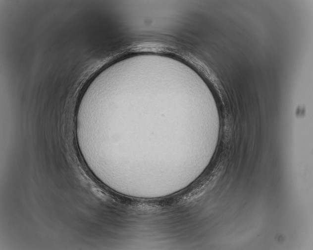 X0000099540529200806061456