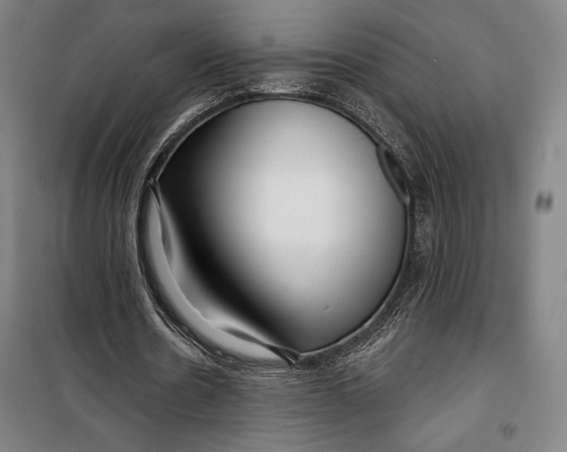 X0000099540530200806061456