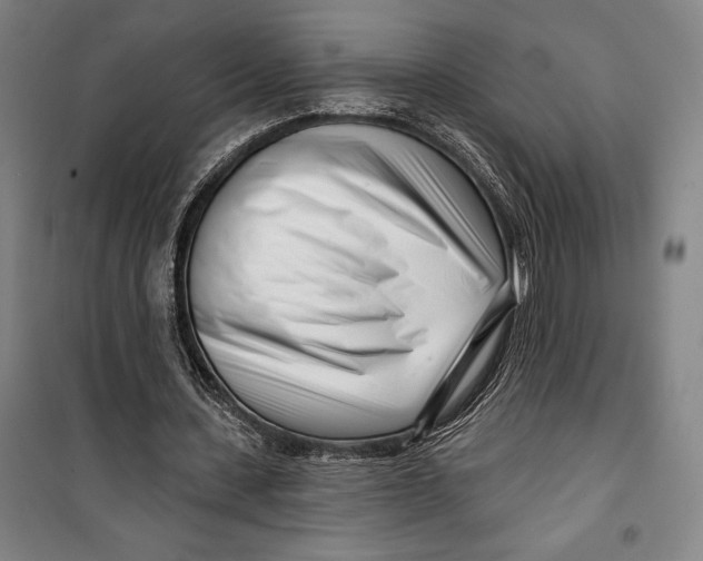 X0000099540531200806061456