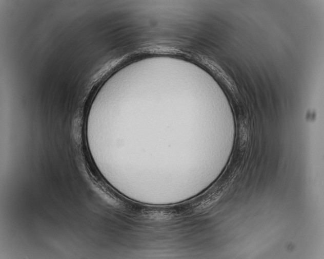 X0000099540533200806061456