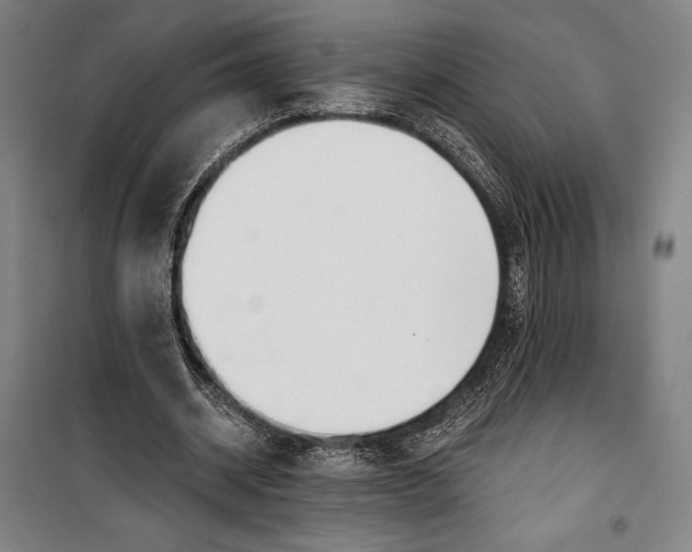 X0000099540534200806061456