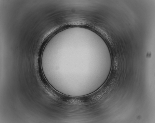 X0000099540535200806061456