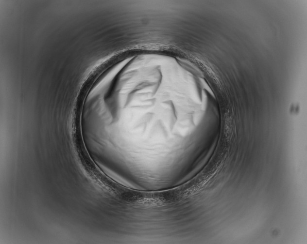 X0000099540536200806061456