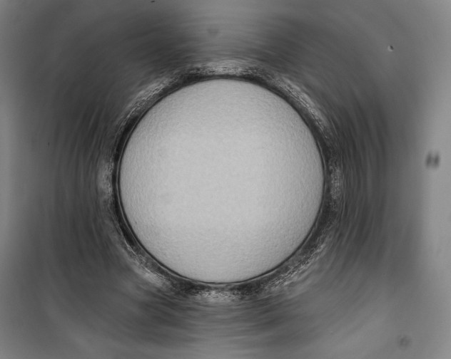 X0000099540537200806061456