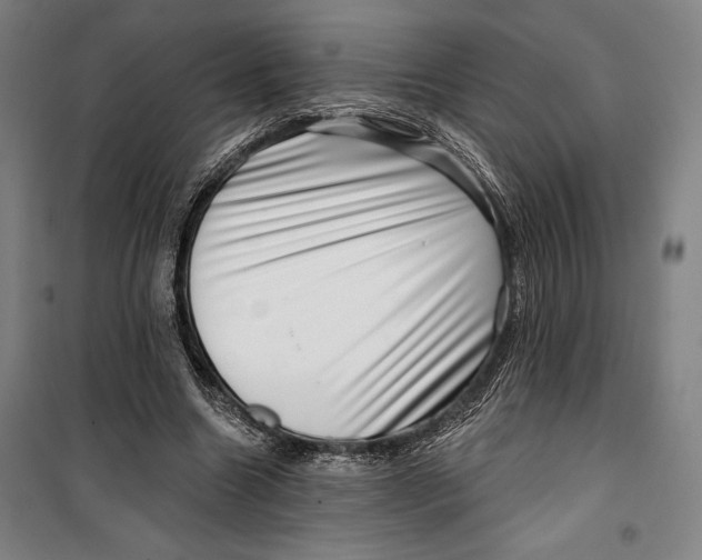 X0000099540538200806061456