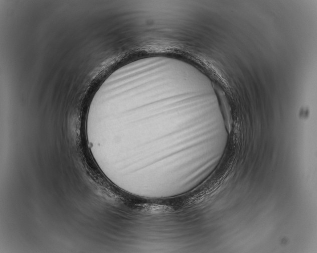 X0000099540539200806061456