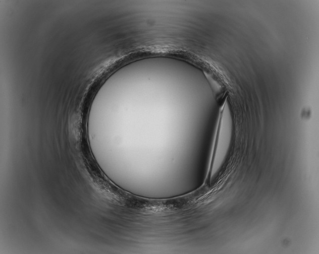 X0000099540540200806061456