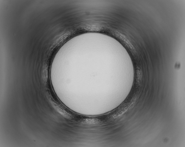 X0000099540541200806061456