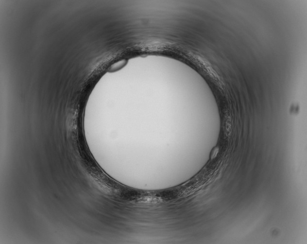 X0000099540543200806061456