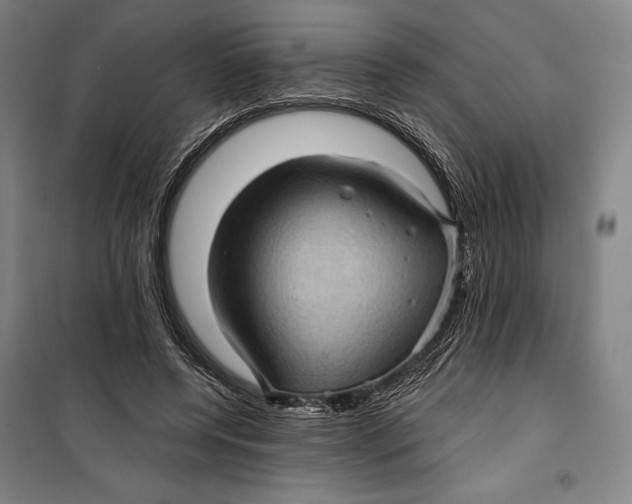 X0000099540544200806061456