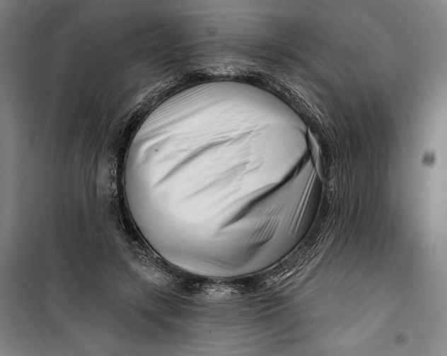 X0000099540547200806061456