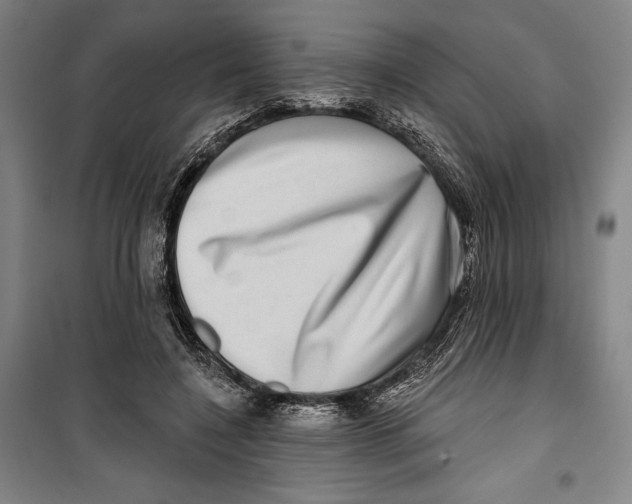 X0000099540548200806061456