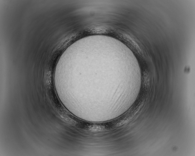 X0000099540549200806061456