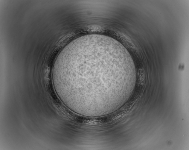 X0000099540550200806061457