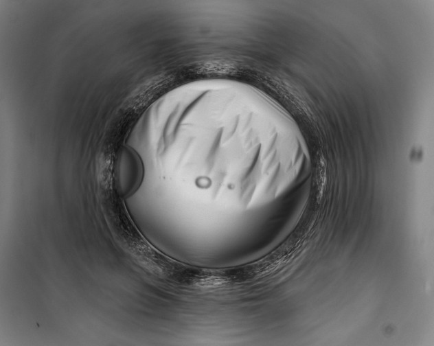 X0000099540551200806061457