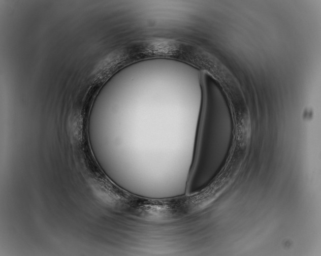 X0000099540552200806061457