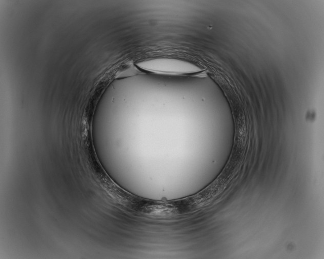 X0000099540555200806061457