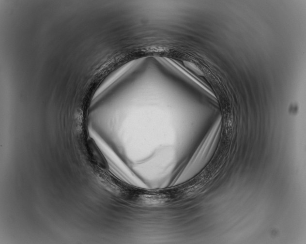 X0000099540556200806061457