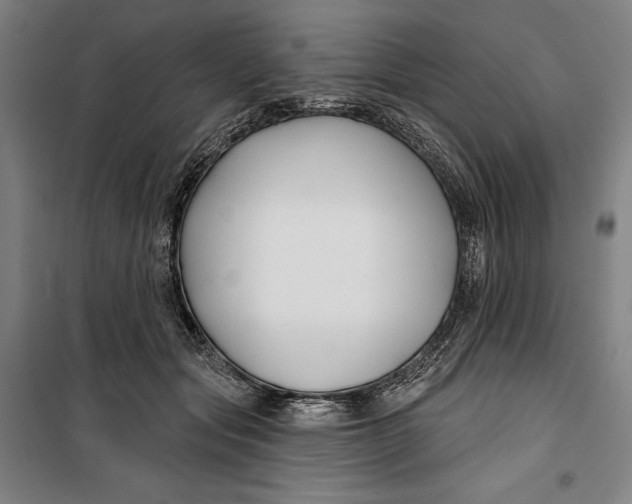 X0000099540557200806061457