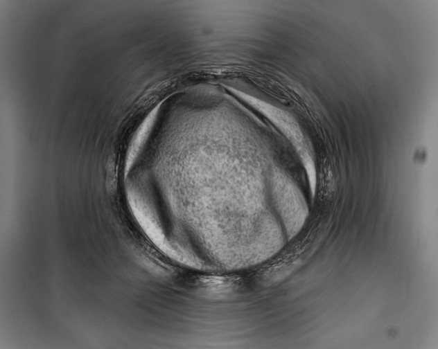 X0000099540558200806061457