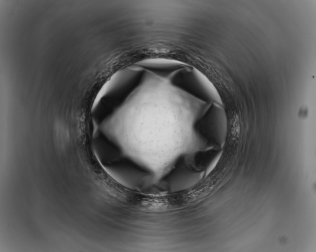 X0000099540559200806061457