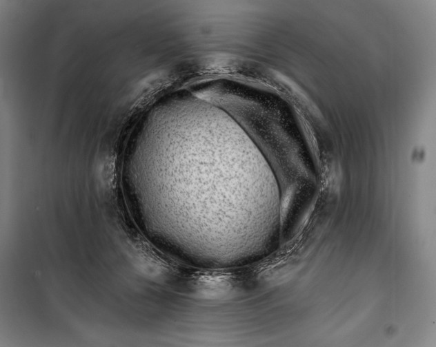 X0000099540560200806061457