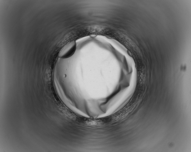 X0000099540561200806061457