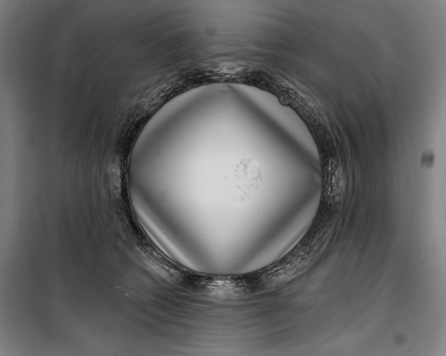 X0000099540562200806061457